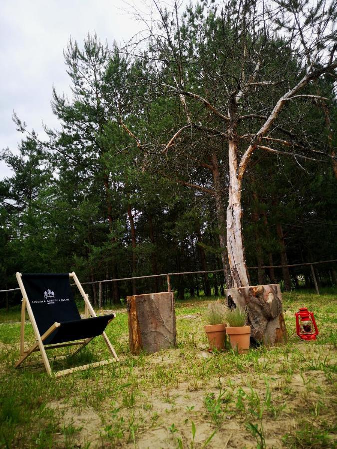 Stodola Miedzy Lasami - Roztocze Chalet *