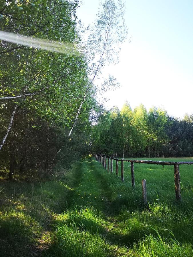 Stodola Miedzy Lasami - Roztocze Chalet Gorniki