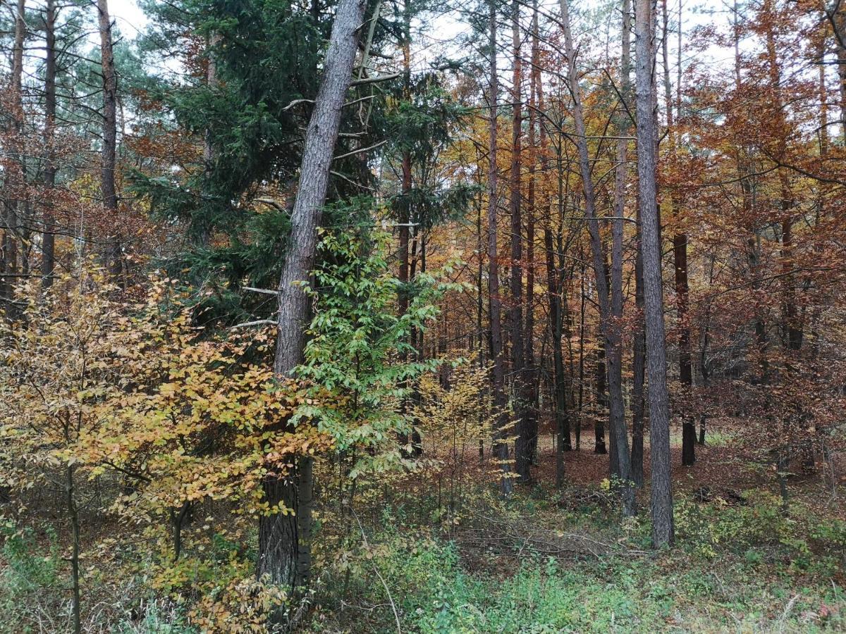 Stodola Miedzy Lasami - Roztocze Chalet Gorniki