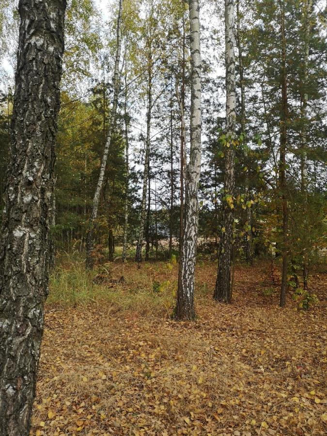 Chalet Stodola Miedzy Lasami - Roztocze *