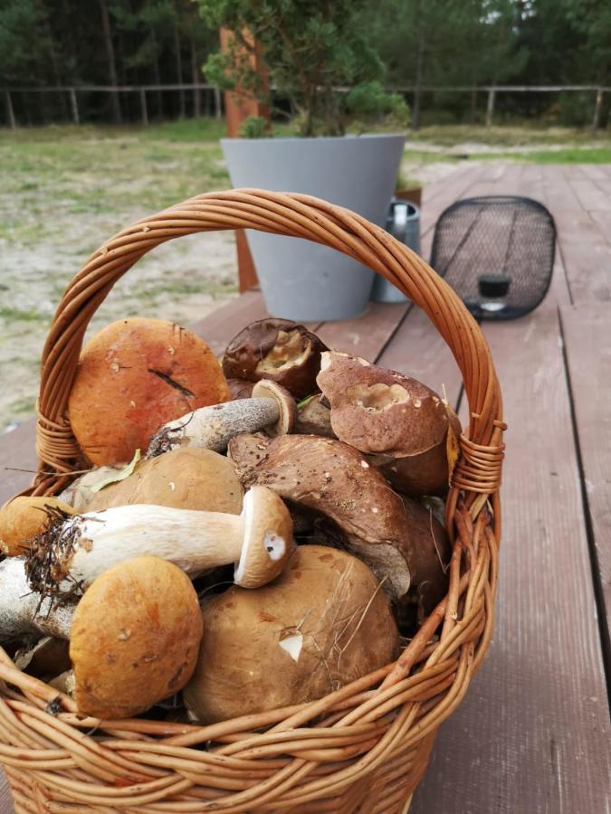 Stodola Miedzy Lasami - Roztocze Chalet *