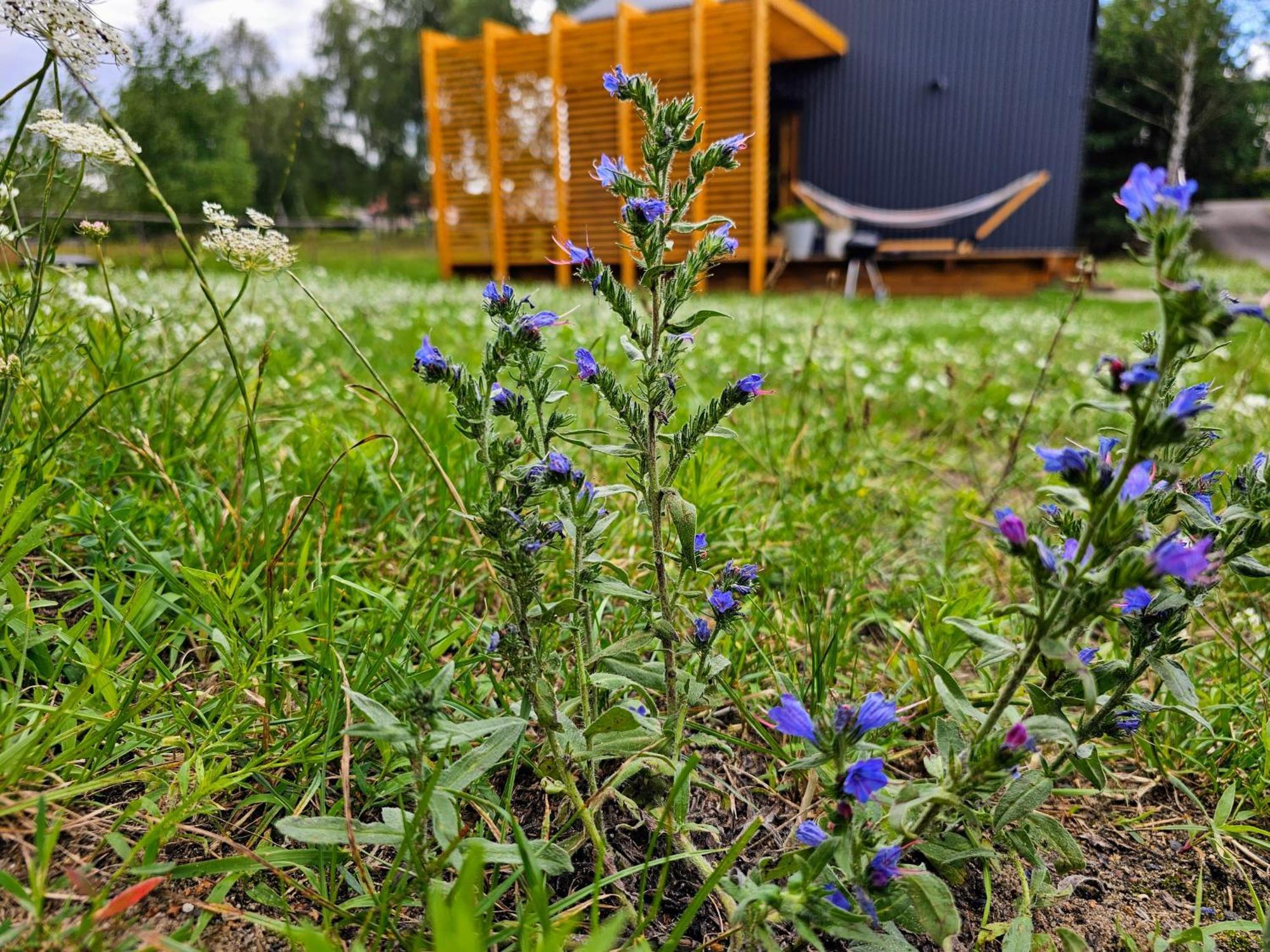 Chalet Stodola Miedzy Lasami - Roztocze Gorniki