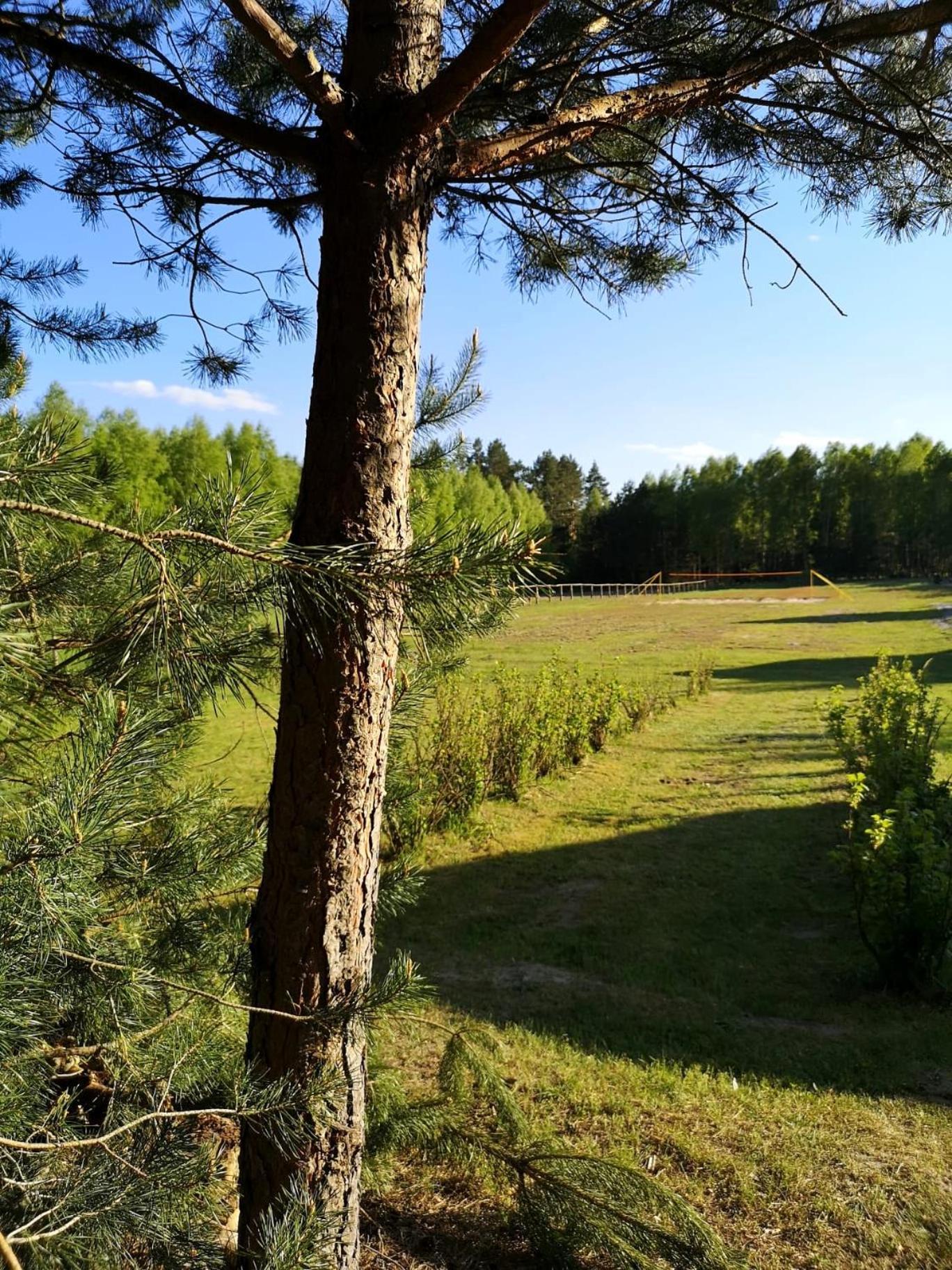Stodola Miedzy Lasami - Roztocze Gorniki